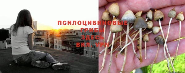 MDMA Осташков