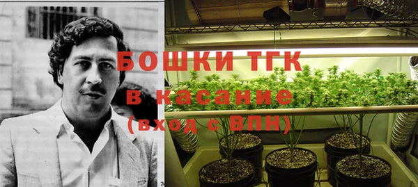 дживик Пестово