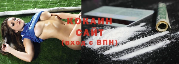 бошки Осинники