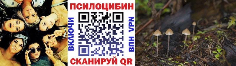 Псилоцибиновые грибы Psilocybe Камешково