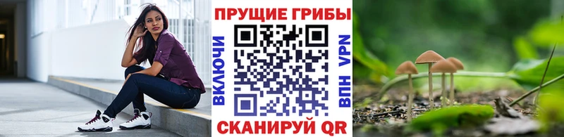 Псилоцибиновые грибы GOLDEN TEACHER  Купить  Камешково 